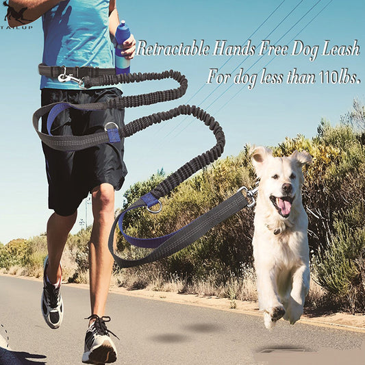pet supplies multi-function running reflective pull dog leash double elastic dog leash traction