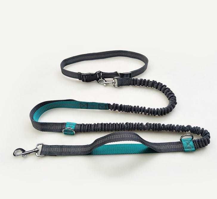 pet supplies multi-function running reflective pull dog leash double elastic dog leash traction