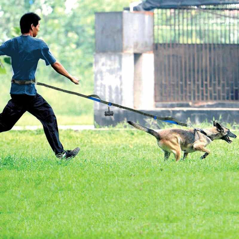 pet supplies multi-function running reflective pull dog leash double elastic dog leash traction