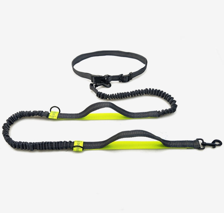 pet supplies multi-function running reflective pull dog leash double elastic dog leash traction
